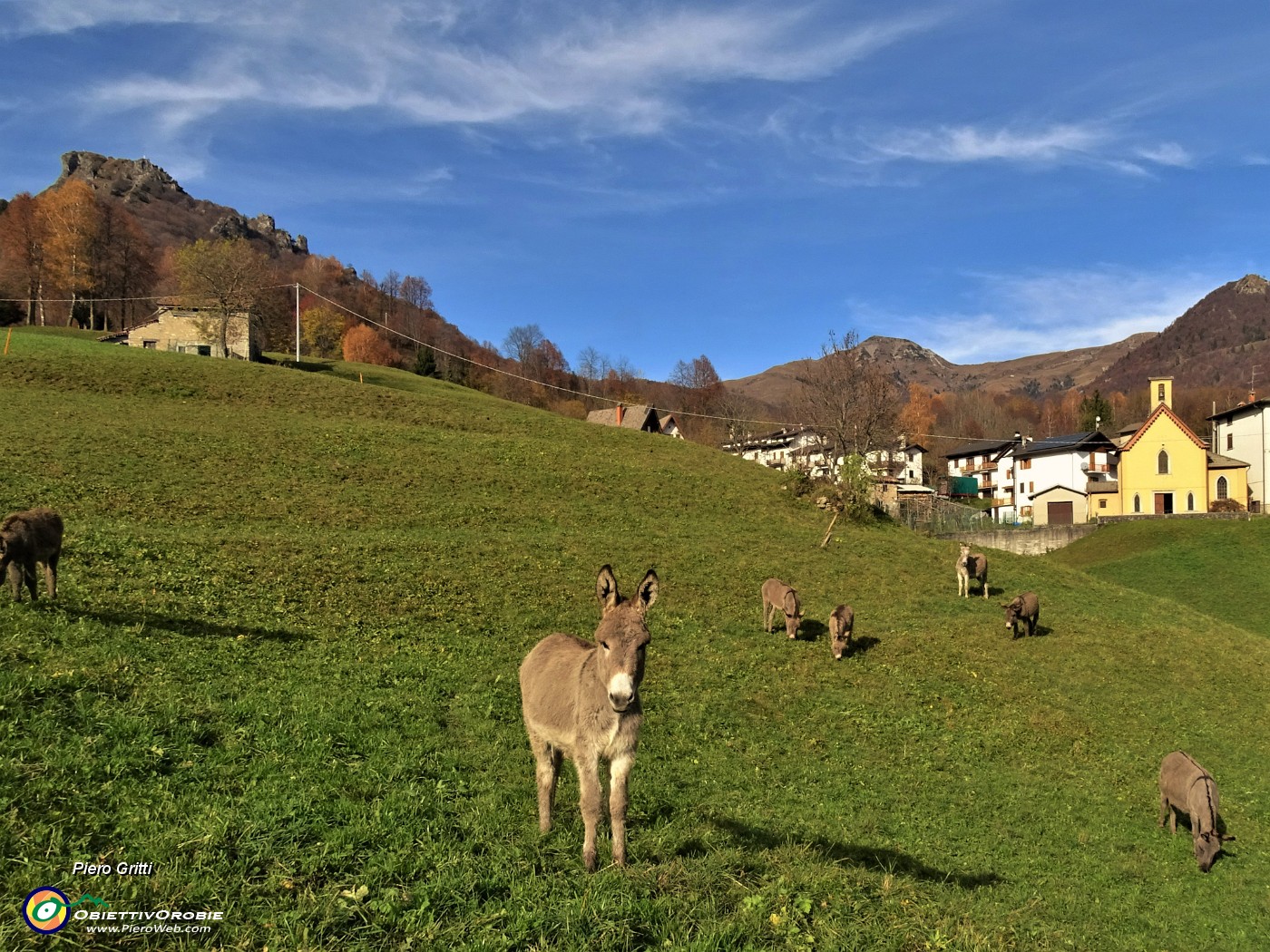 03 Da Reggetto (950 m) con asinelli al pascolo al Corno Zuccone (1458 m ).JPG